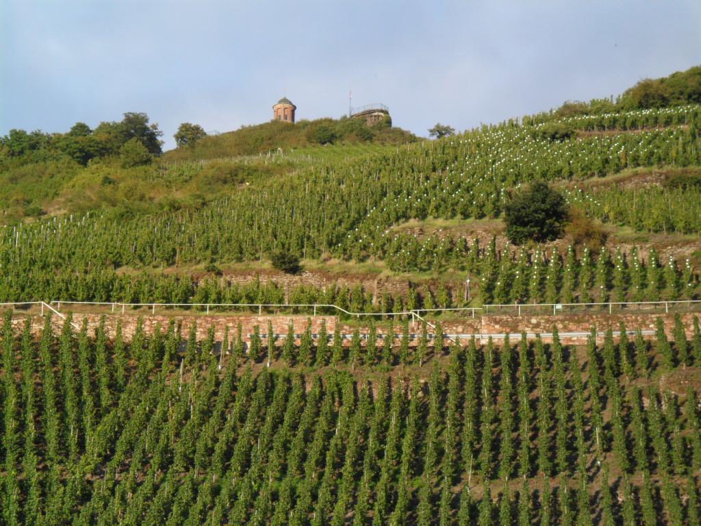 Pension Adelheid Moselhype&Wine Zell an der Mosel Exteriör bild