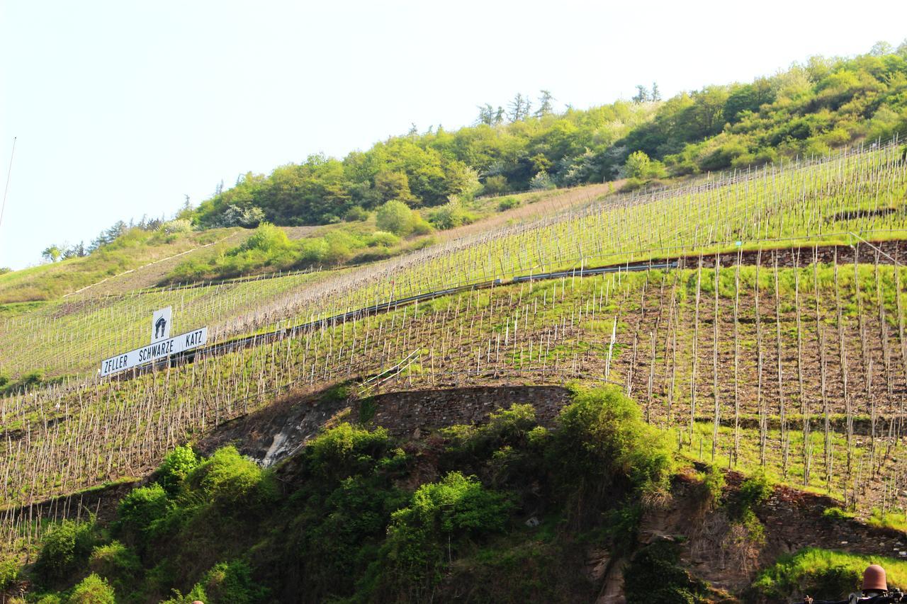 Pension Adelheid Moselhype&Wine Zell an der Mosel Exteriör bild