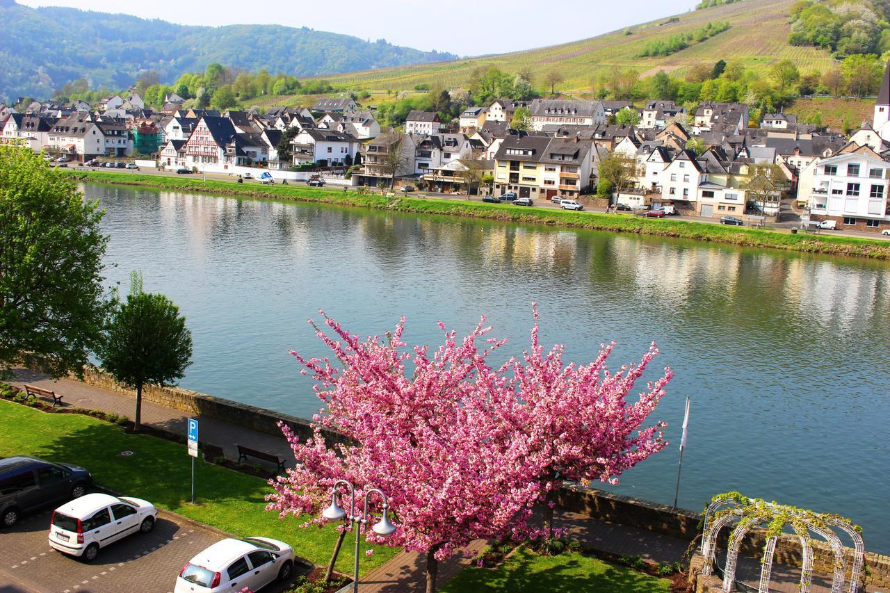 Pension Adelheid Moselhype&Wine Zell an der Mosel Exteriör bild