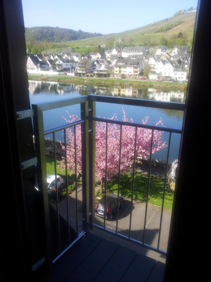 Pension Adelheid Moselhype&Wine Zell an der Mosel Exteriör bild